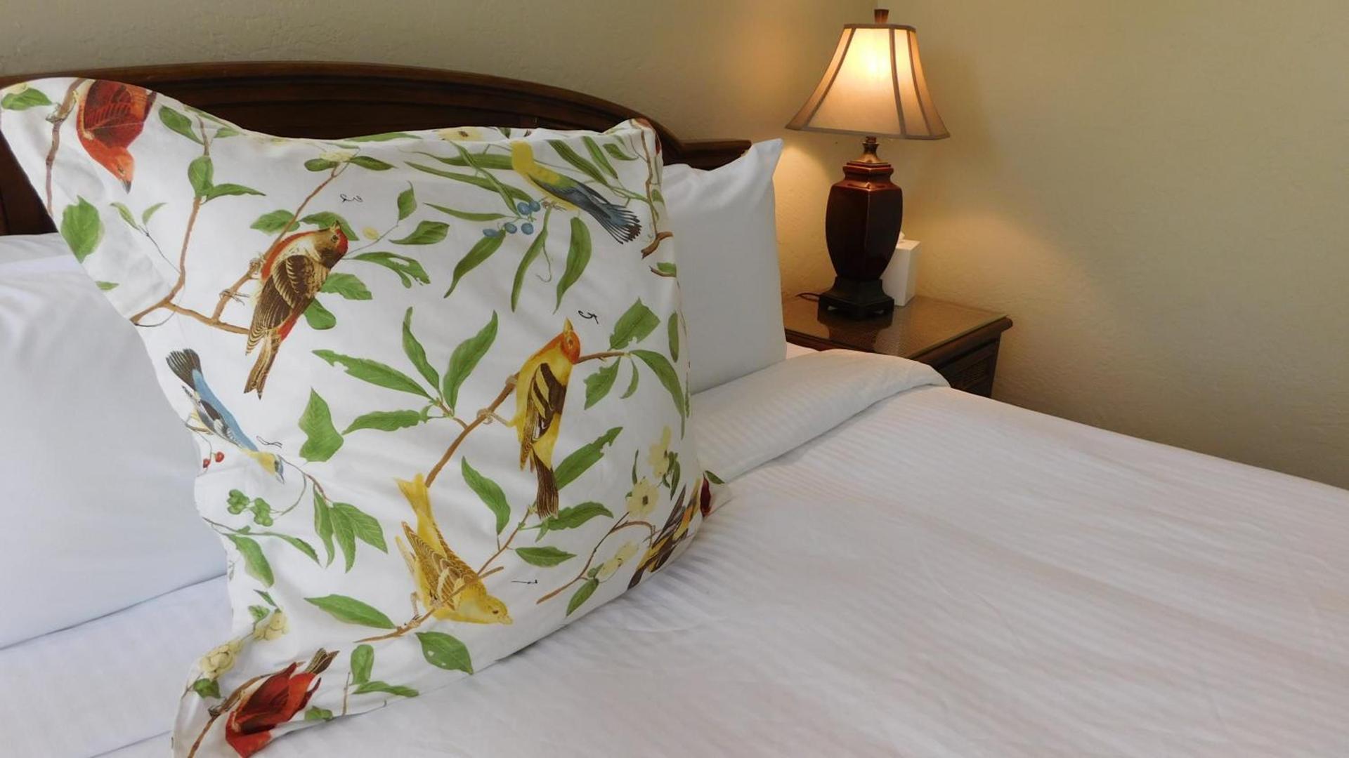 Pines & Palms Resort photo 57