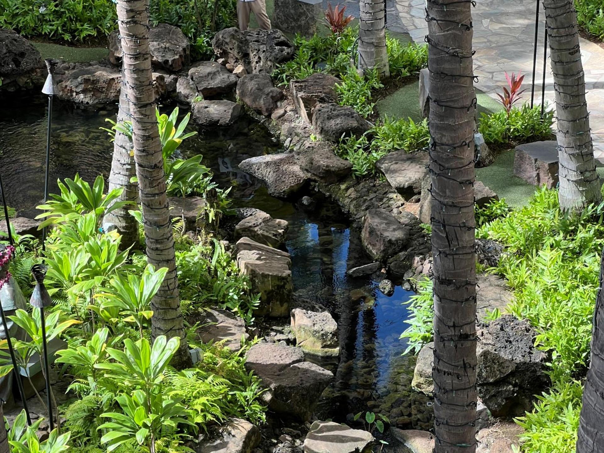 First Cabin International Hawaii photo 4