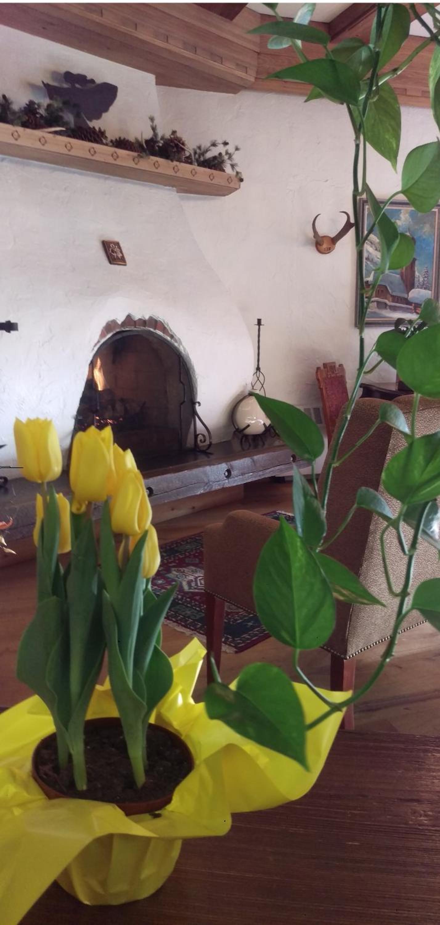 Hotel Gasthof Gramshammer photo 9