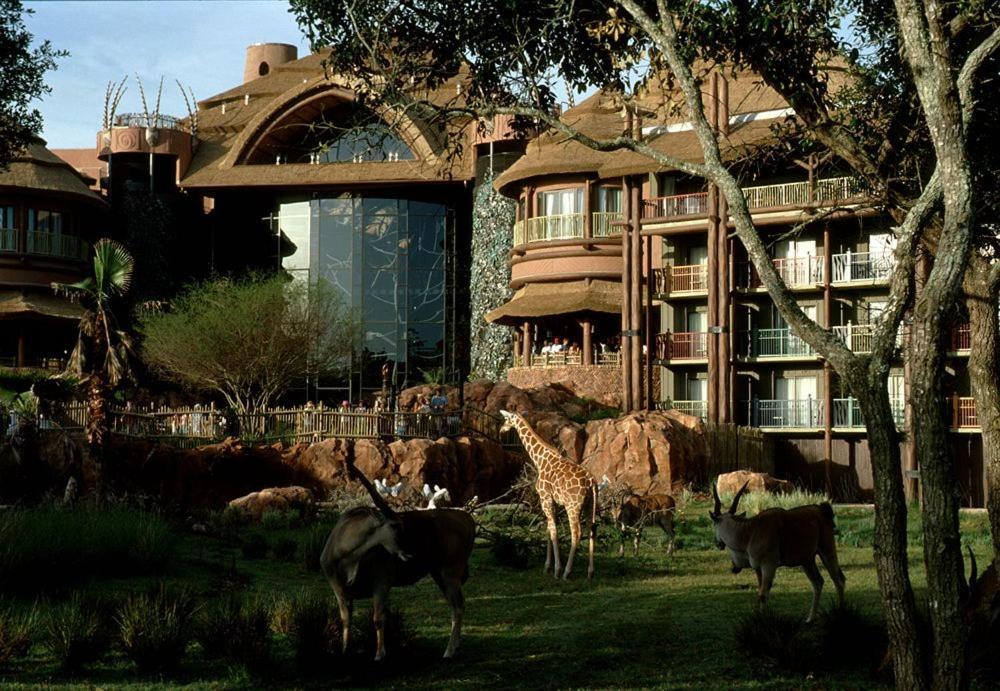 Disney's Animal Kingdom Villas - Kidani Village photo 4