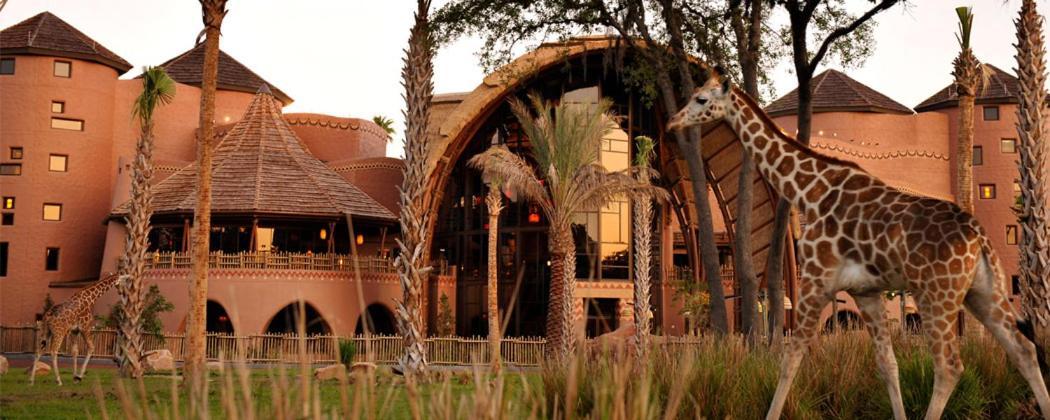 Disney's Animal Kingdom Villas - Kidani Village photo 3