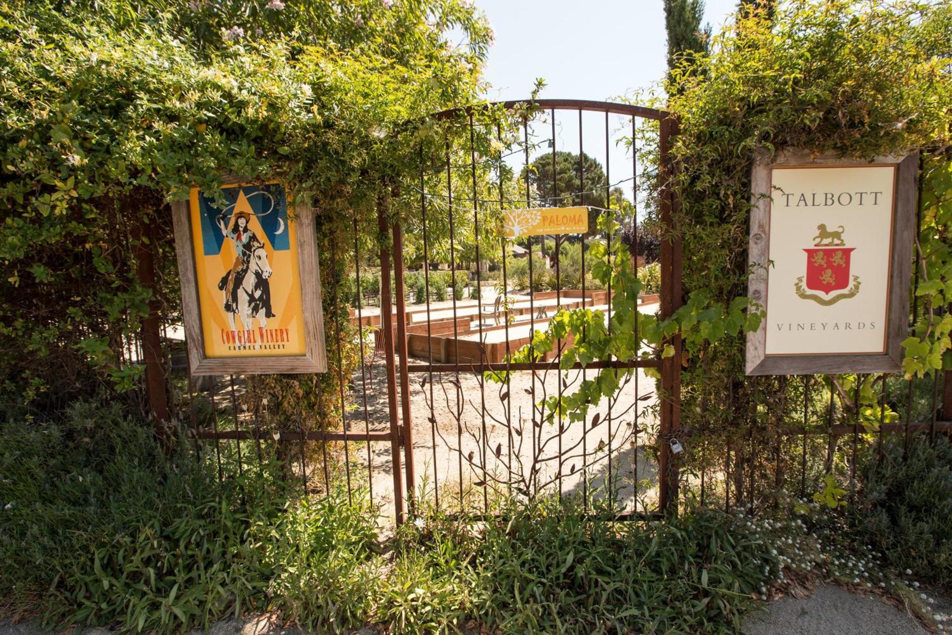Contenta Inn photo 49