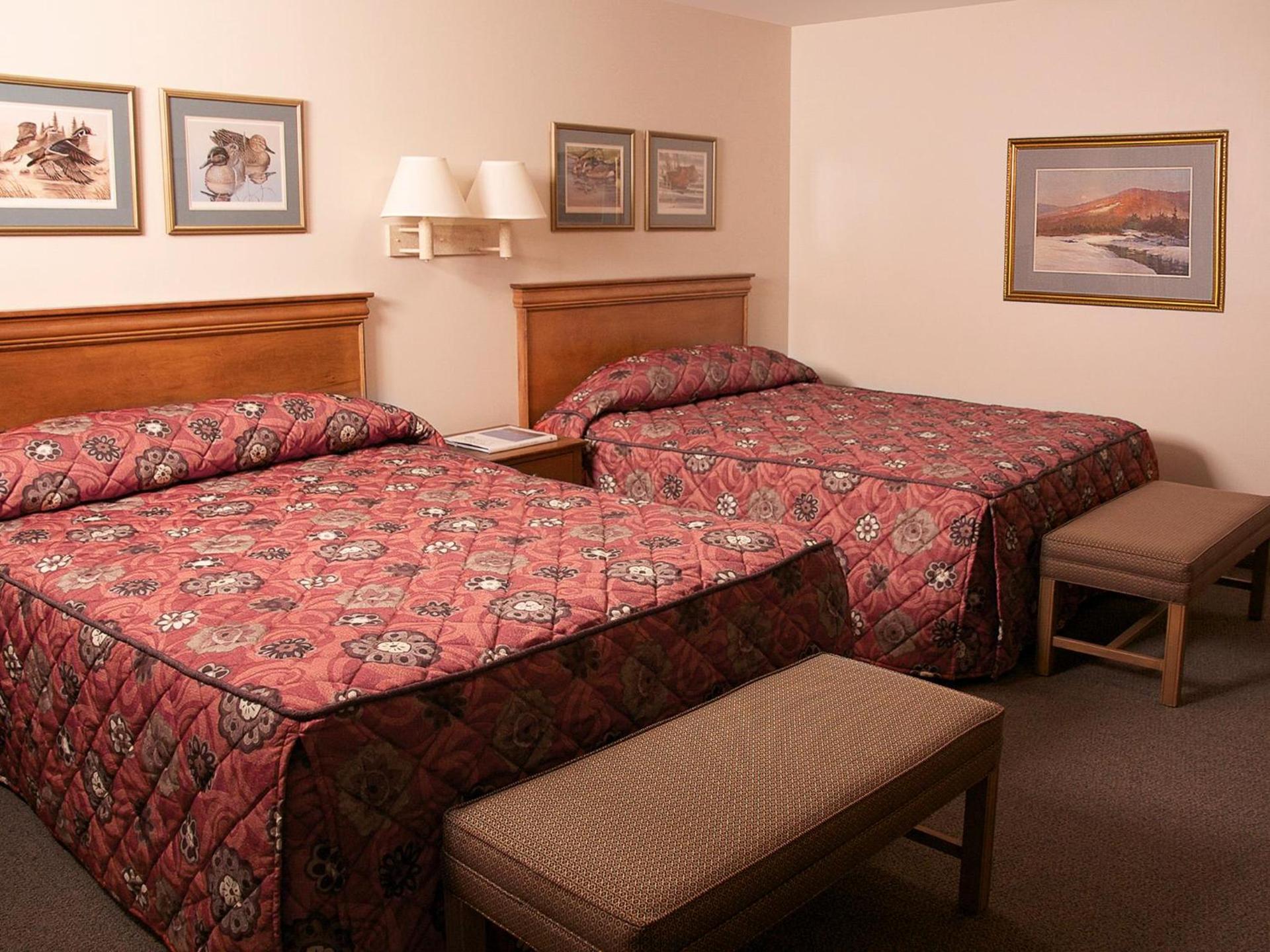 Bear Lodge photo 16