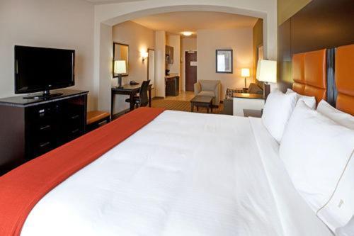 Holiday Inn Express Hotel & Suites Dallas West by IHG photo 7