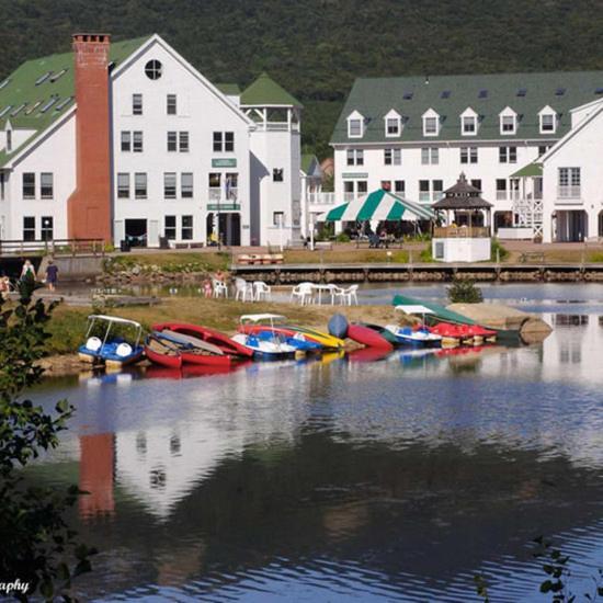 Snowy Owl Inn photo 5