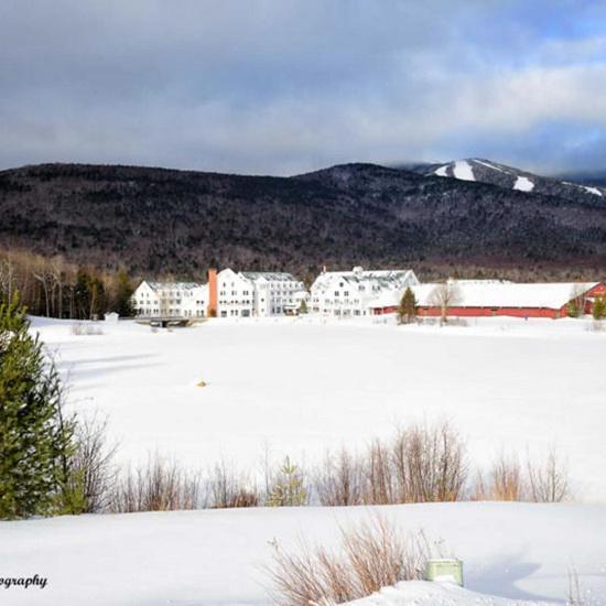 Snowy Owl Inn photo 21