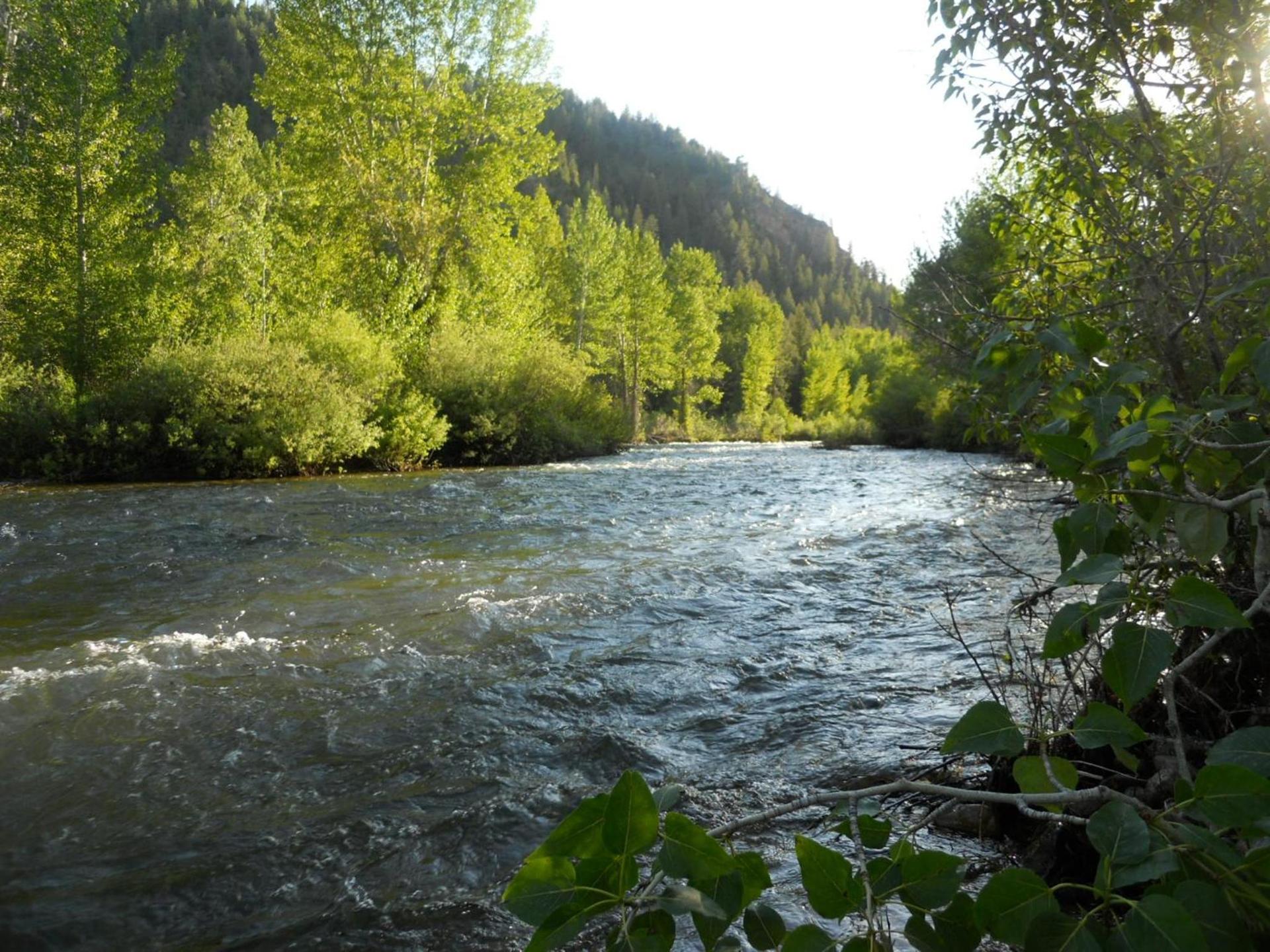 Wood River Inn & Suite photo 23