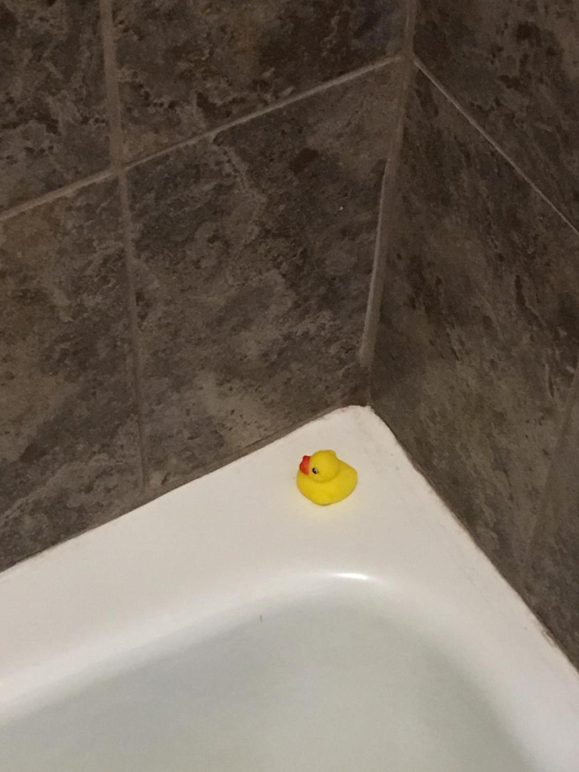 Cardinal Inn photo 29