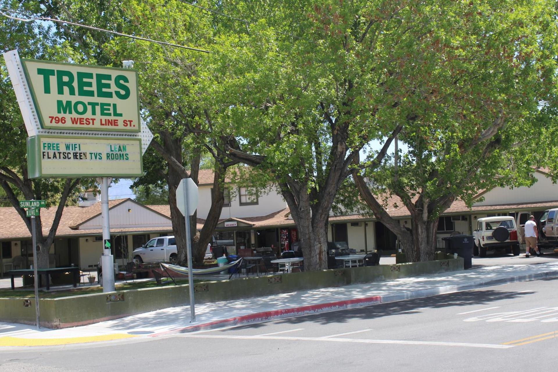 Trees Motel photo 1