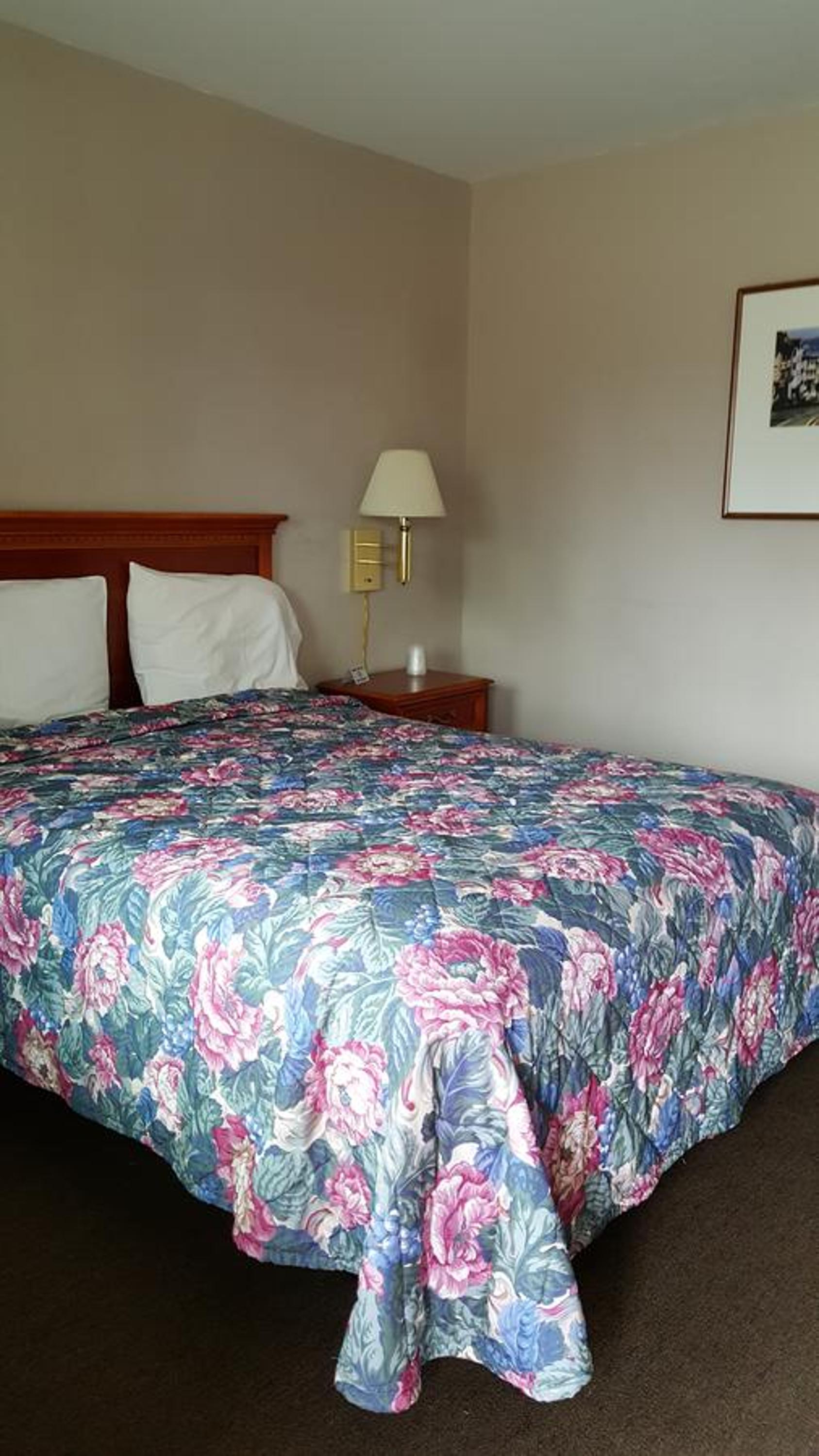Pacific Motel photo 37