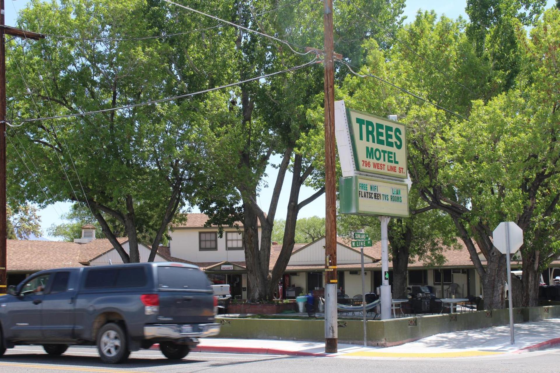 Trees Motel photo 6