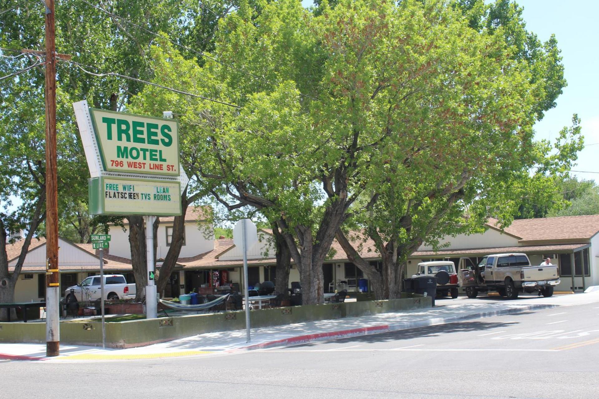 Trees Motel photo 7