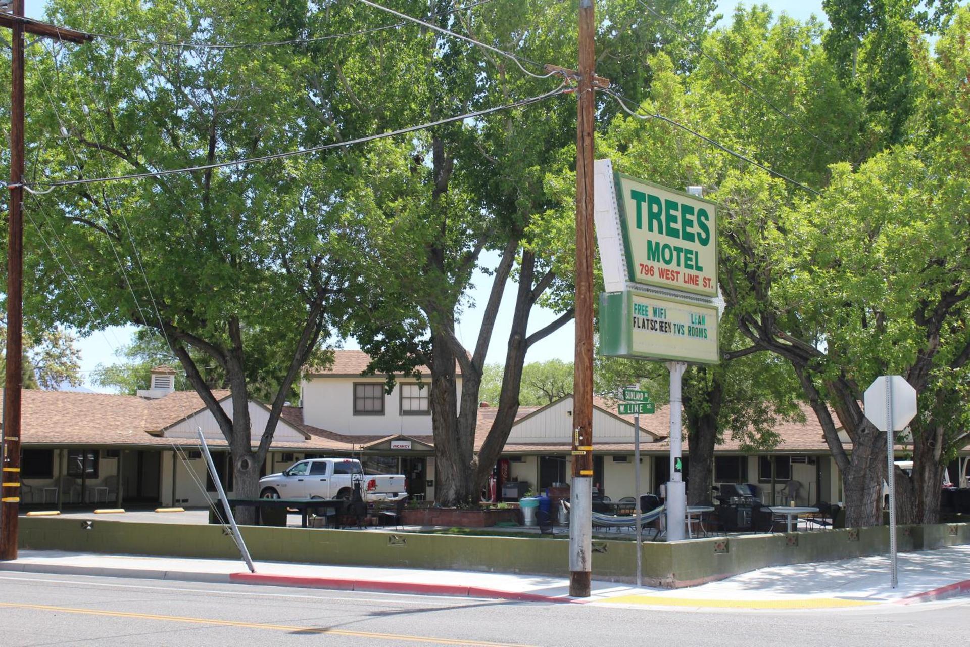 Trees Motel photo 9