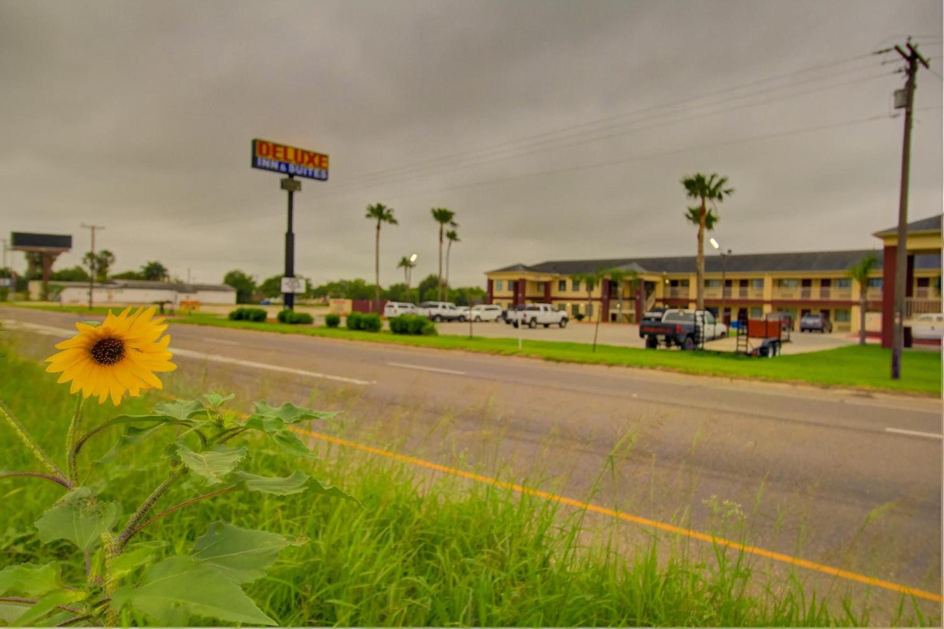 Deluxe Inn and Suites photo 71