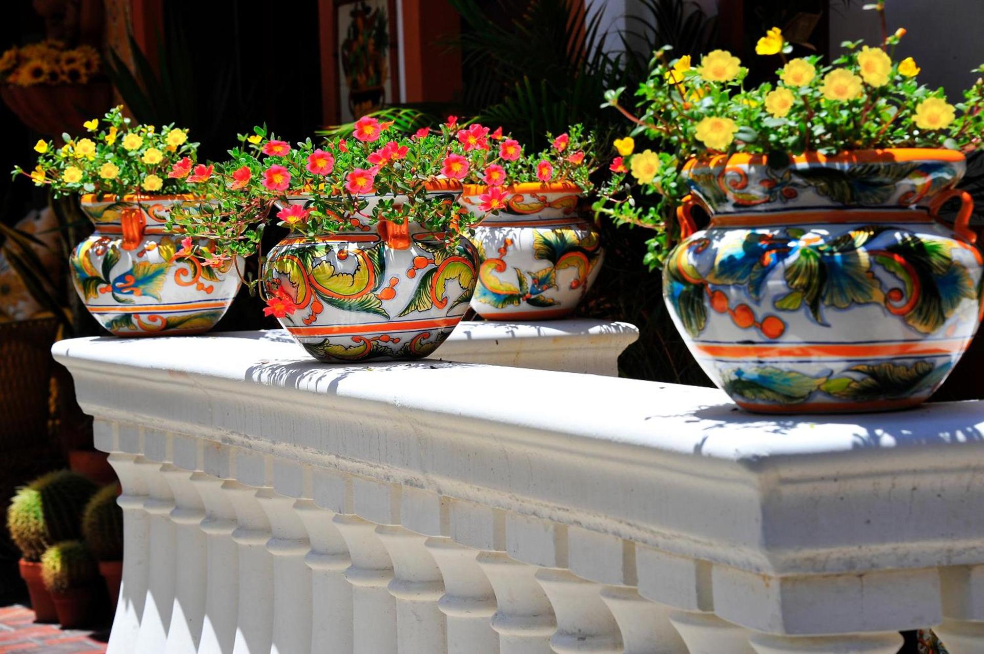 Blue Seas Courtyard photo 33