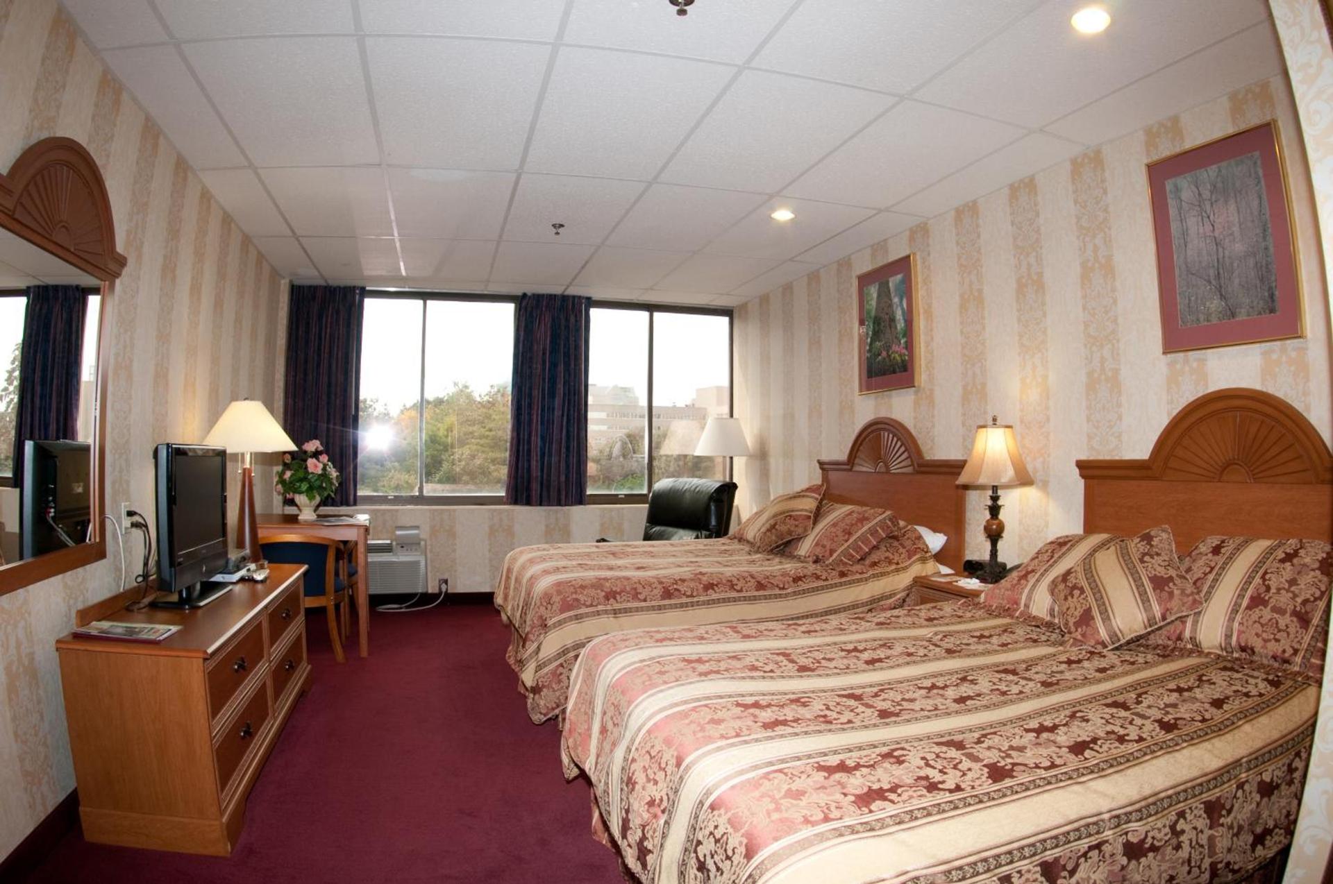 Amsterdam Hotel photo 3