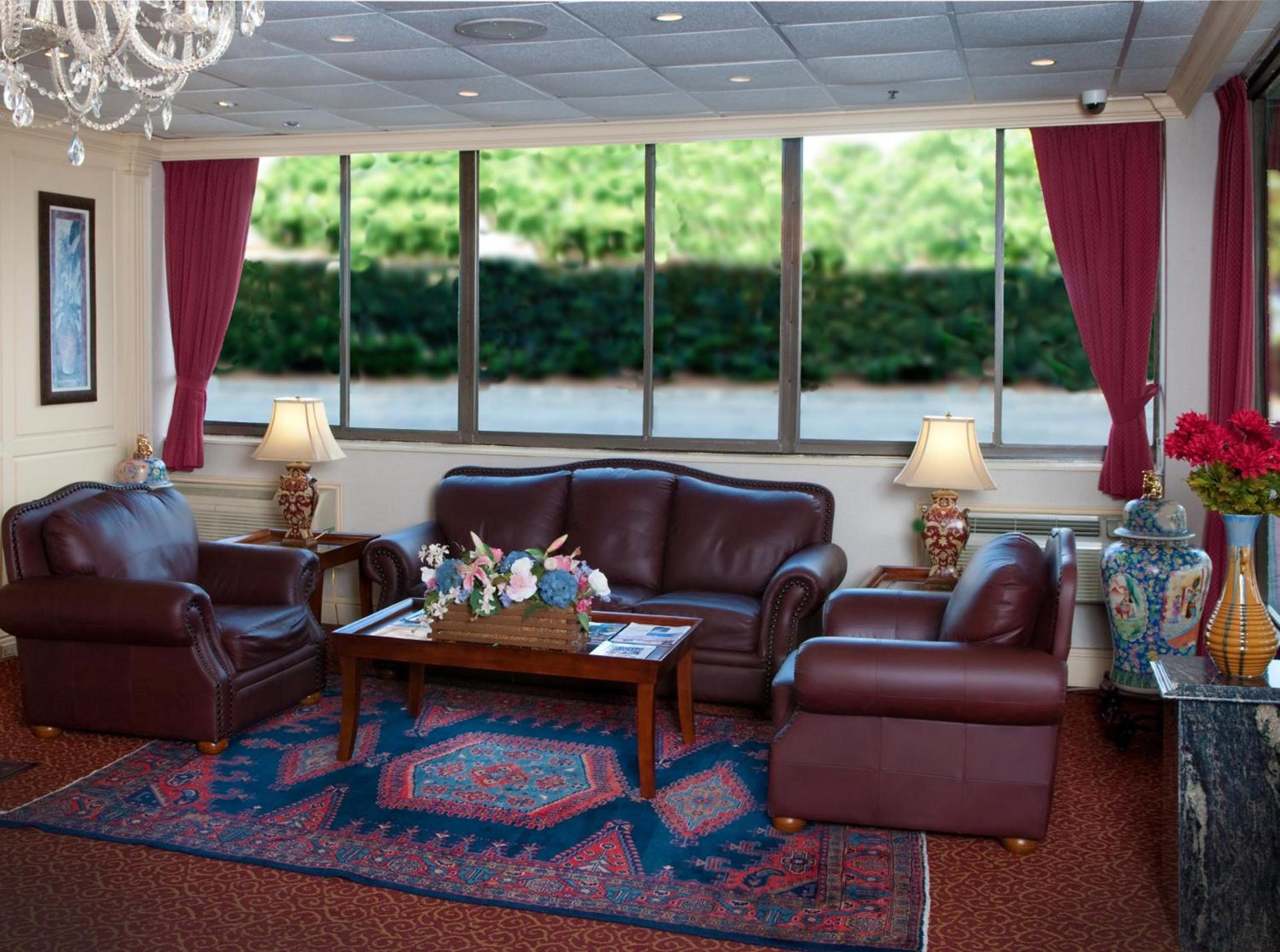 Amsterdam Hotel photo 13
