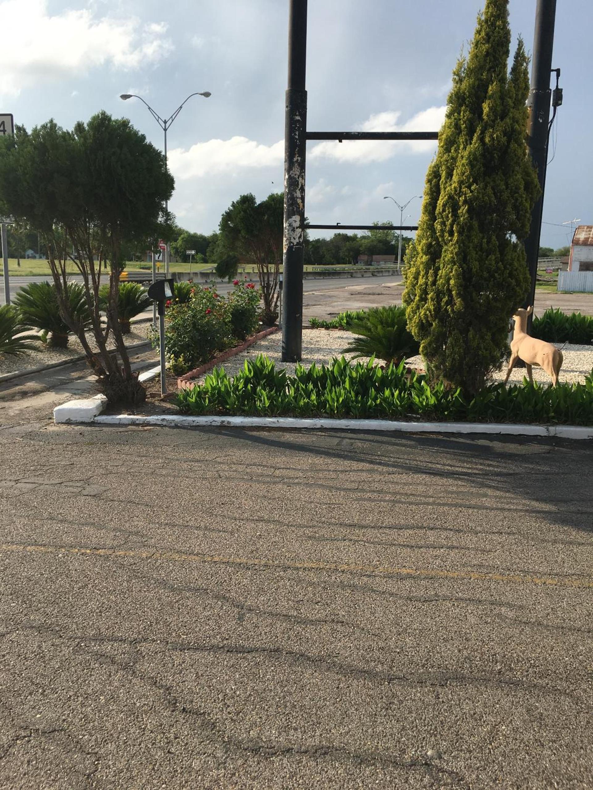 Alice Motor Inn photo 2