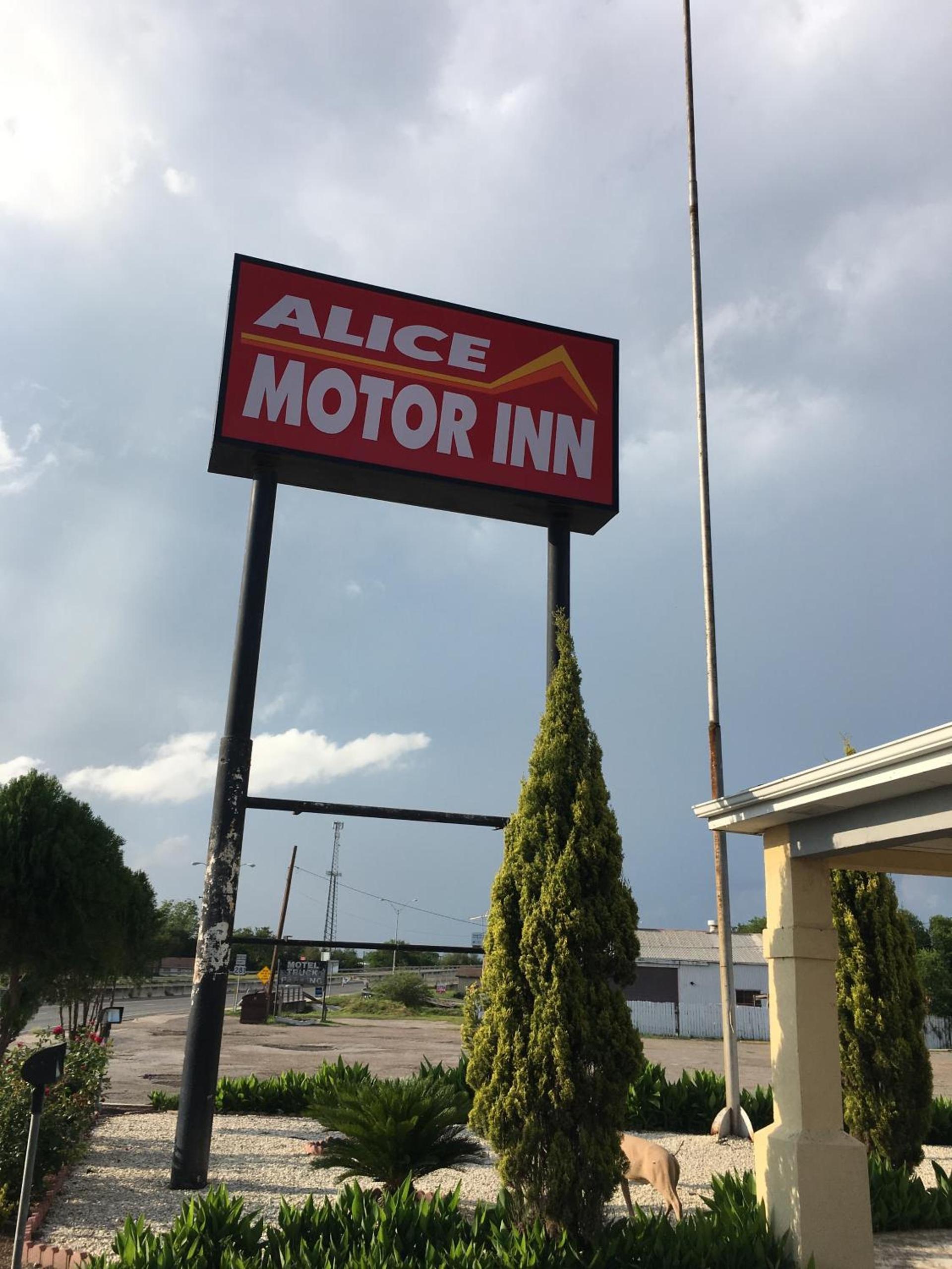 Alice Motor Inn photo 5