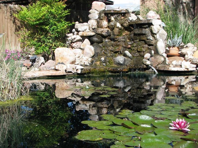 Mountain Valley Lodge photo 33