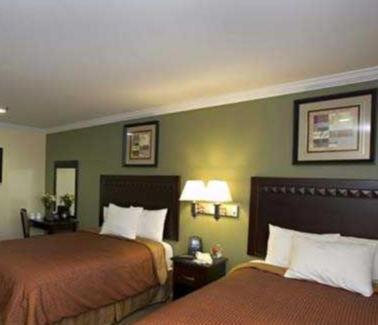 North Bay Inn photo 6