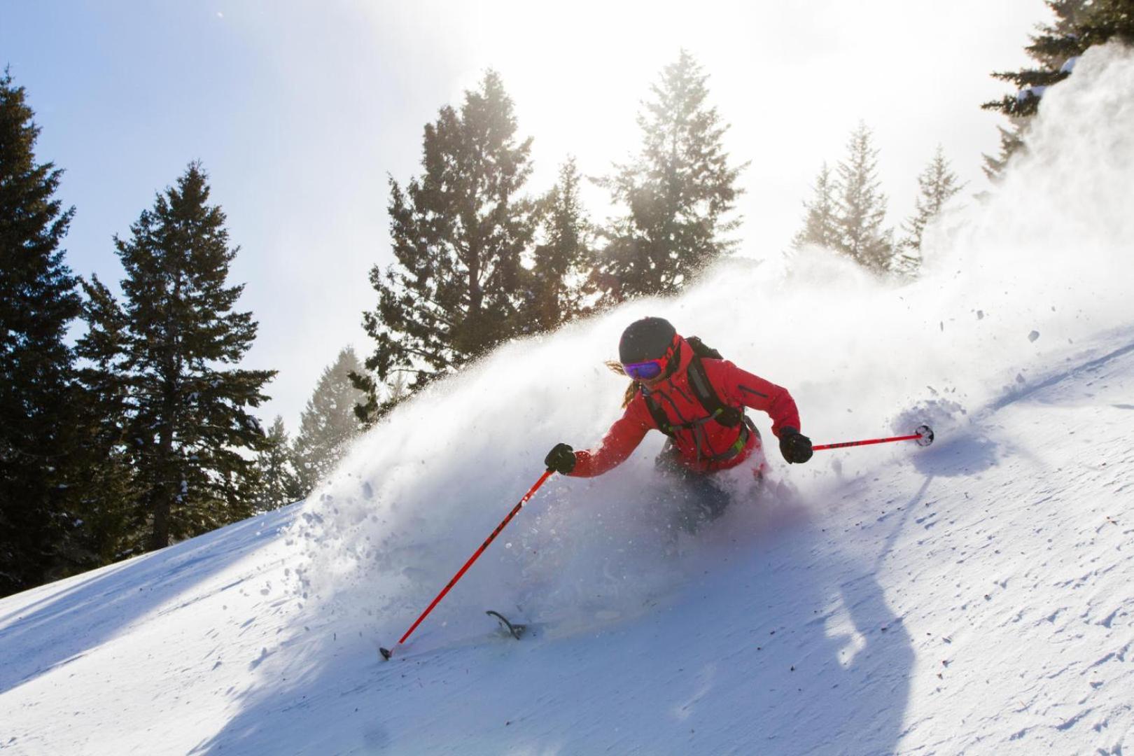 Sun Valley Resort photo 44