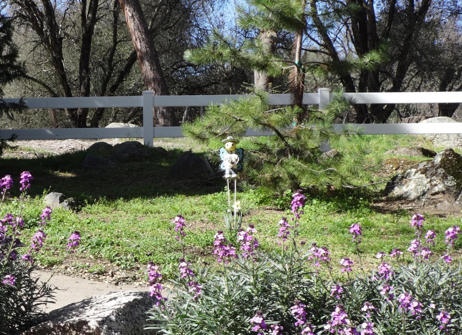 Little Valley Inn photo 36