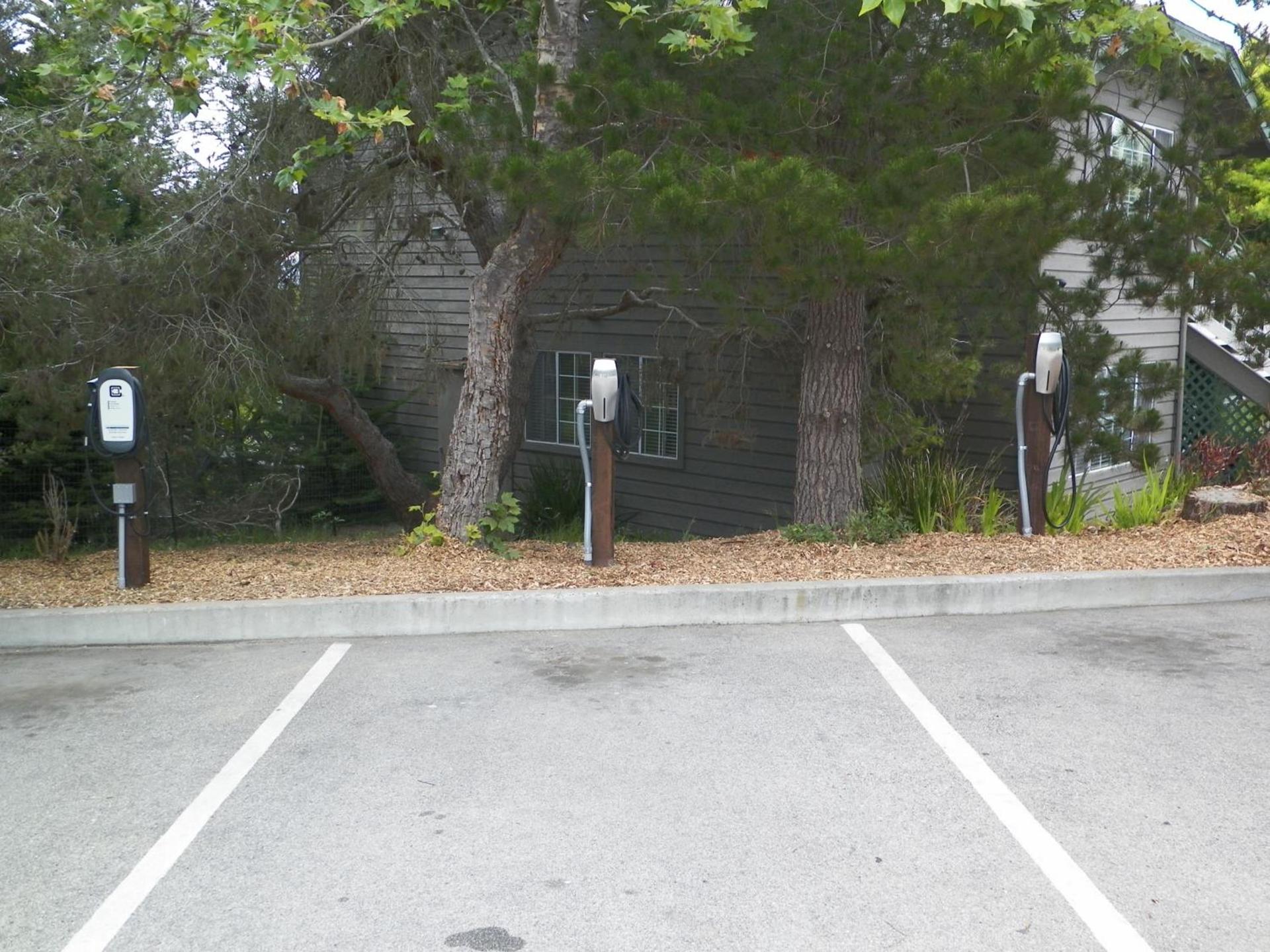 Cambria Pines Lodge photo 38