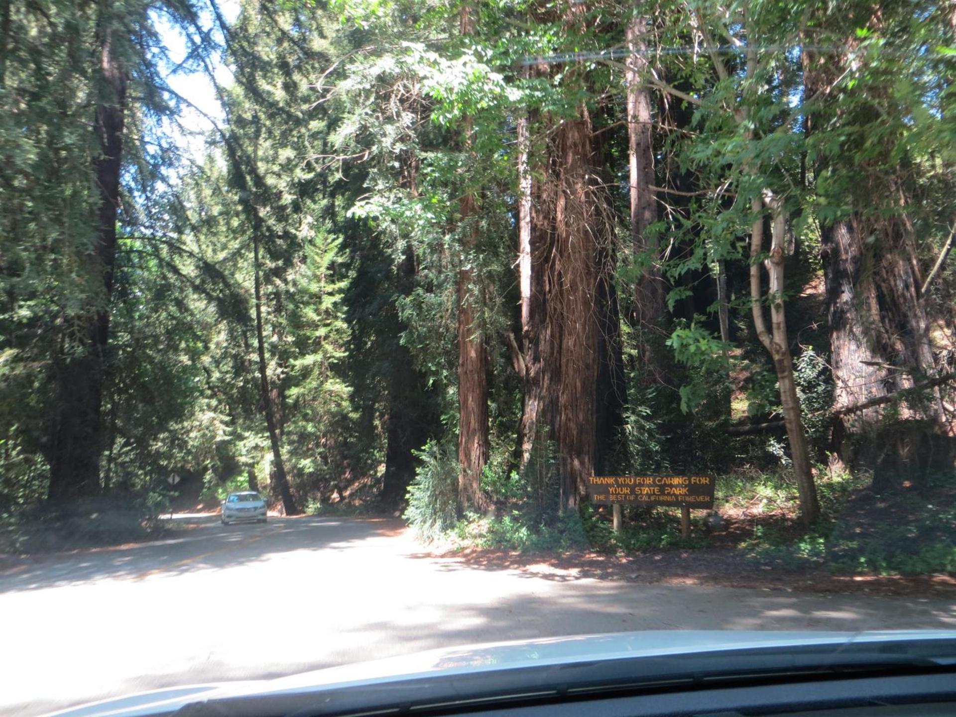 Big Sur Lodge photo 30