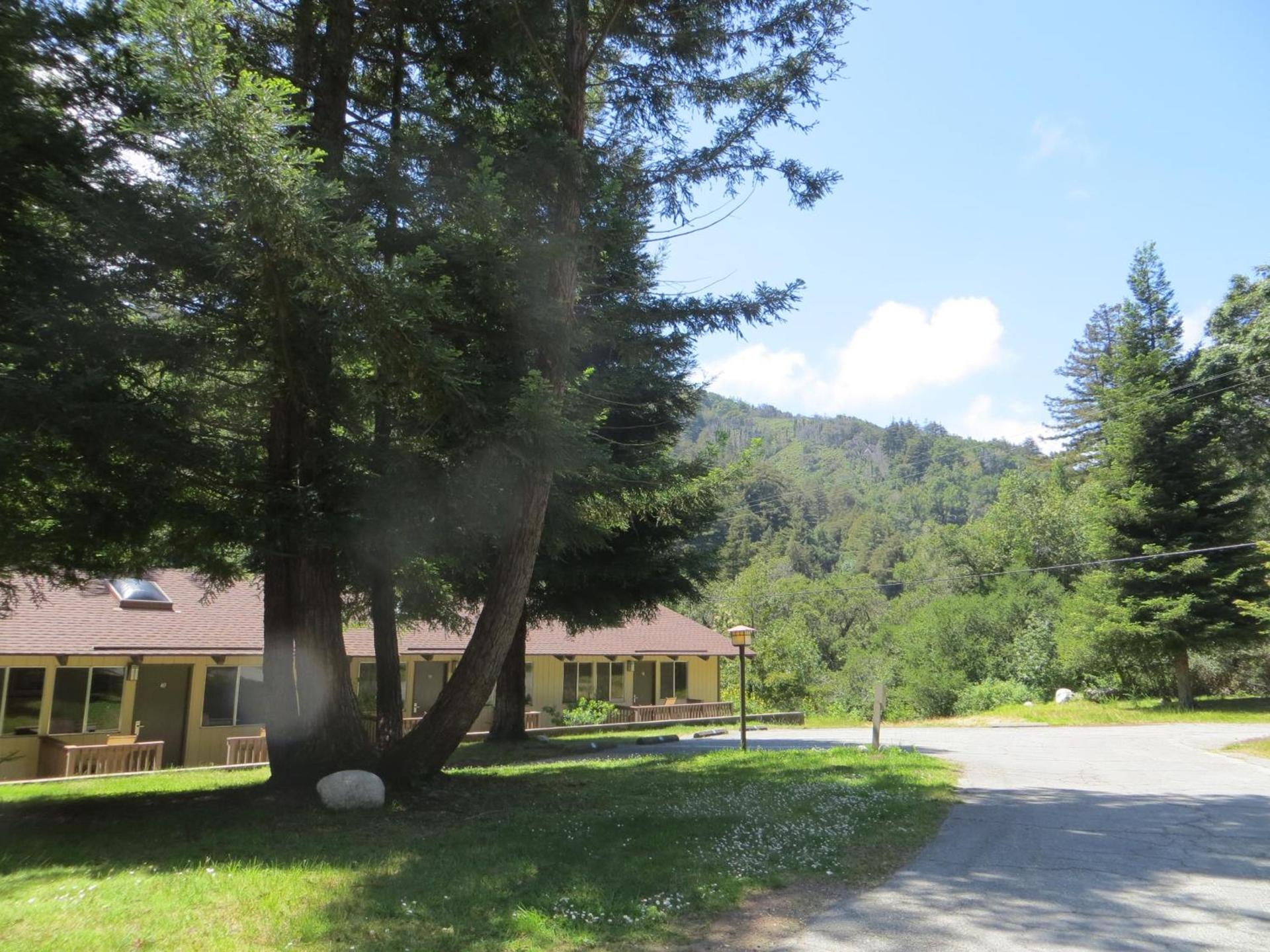 Big Sur Lodge photo 29