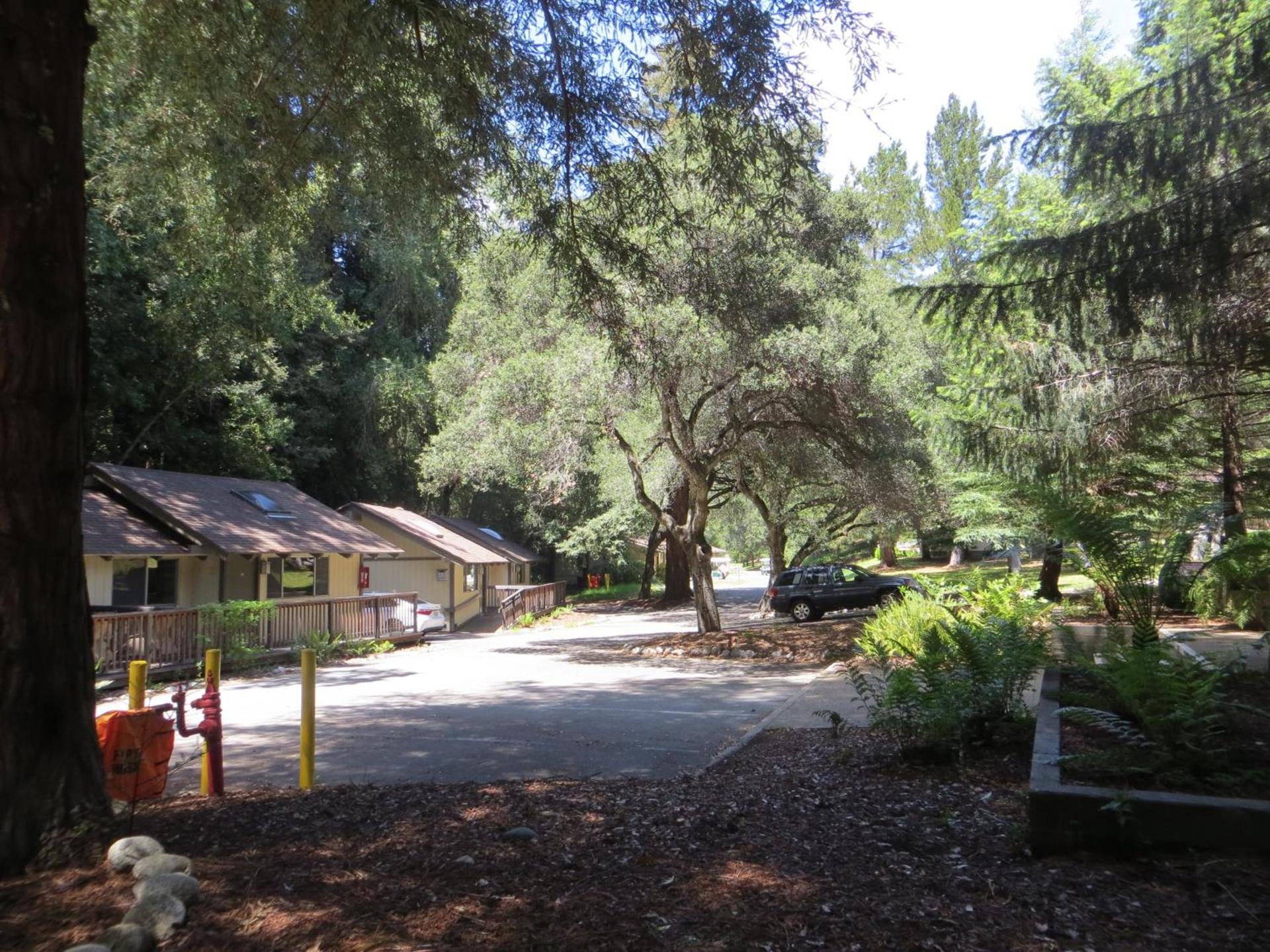Big Sur Lodge photo 32