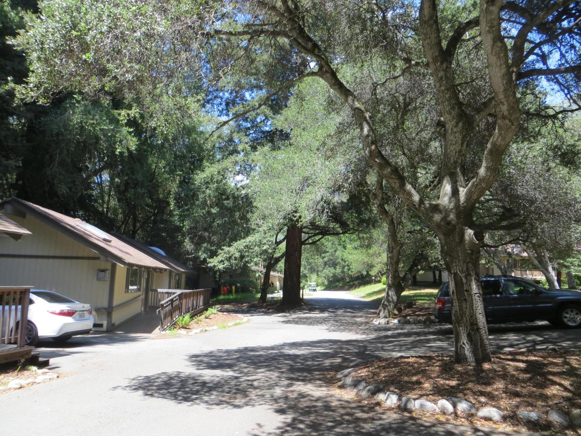 Big Sur Lodge photo 33