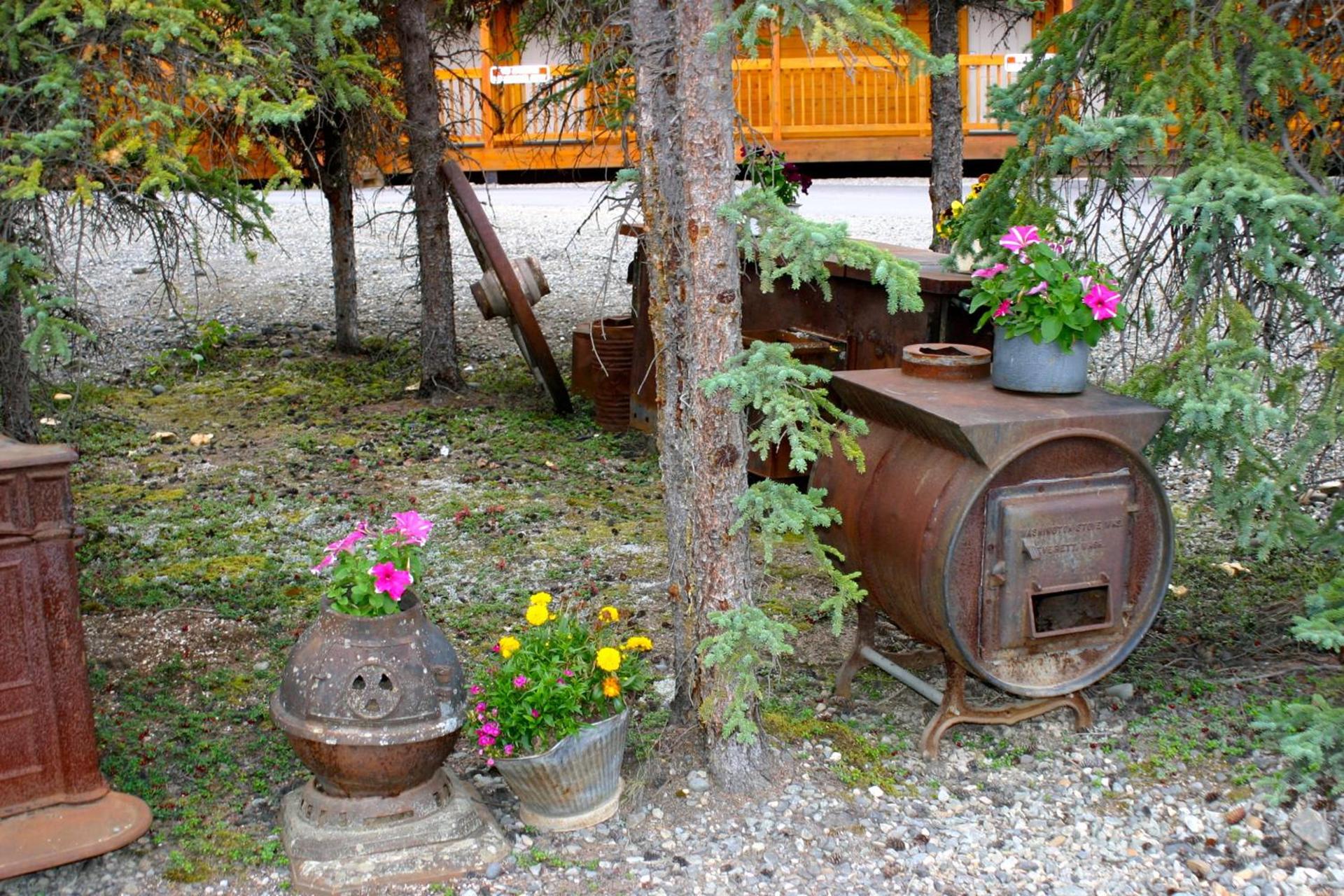 Denali Grizzly Bear Resort photo 5