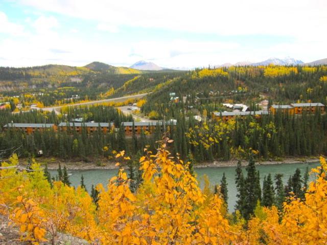 Denali Grizzly Bear Resort photo 16