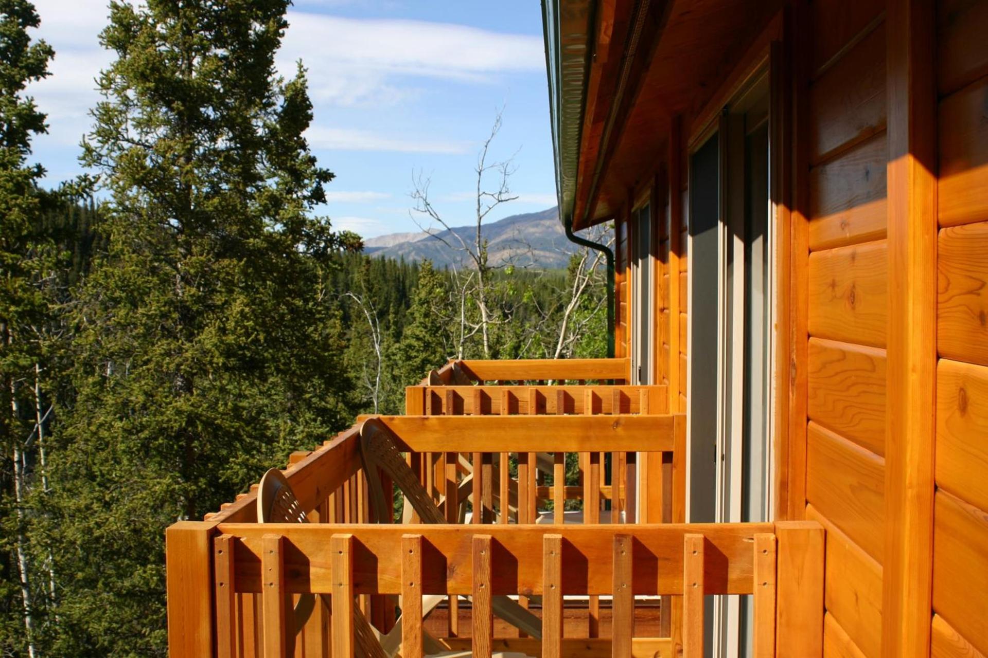 Denali Grizzly Bear Resort photo 28