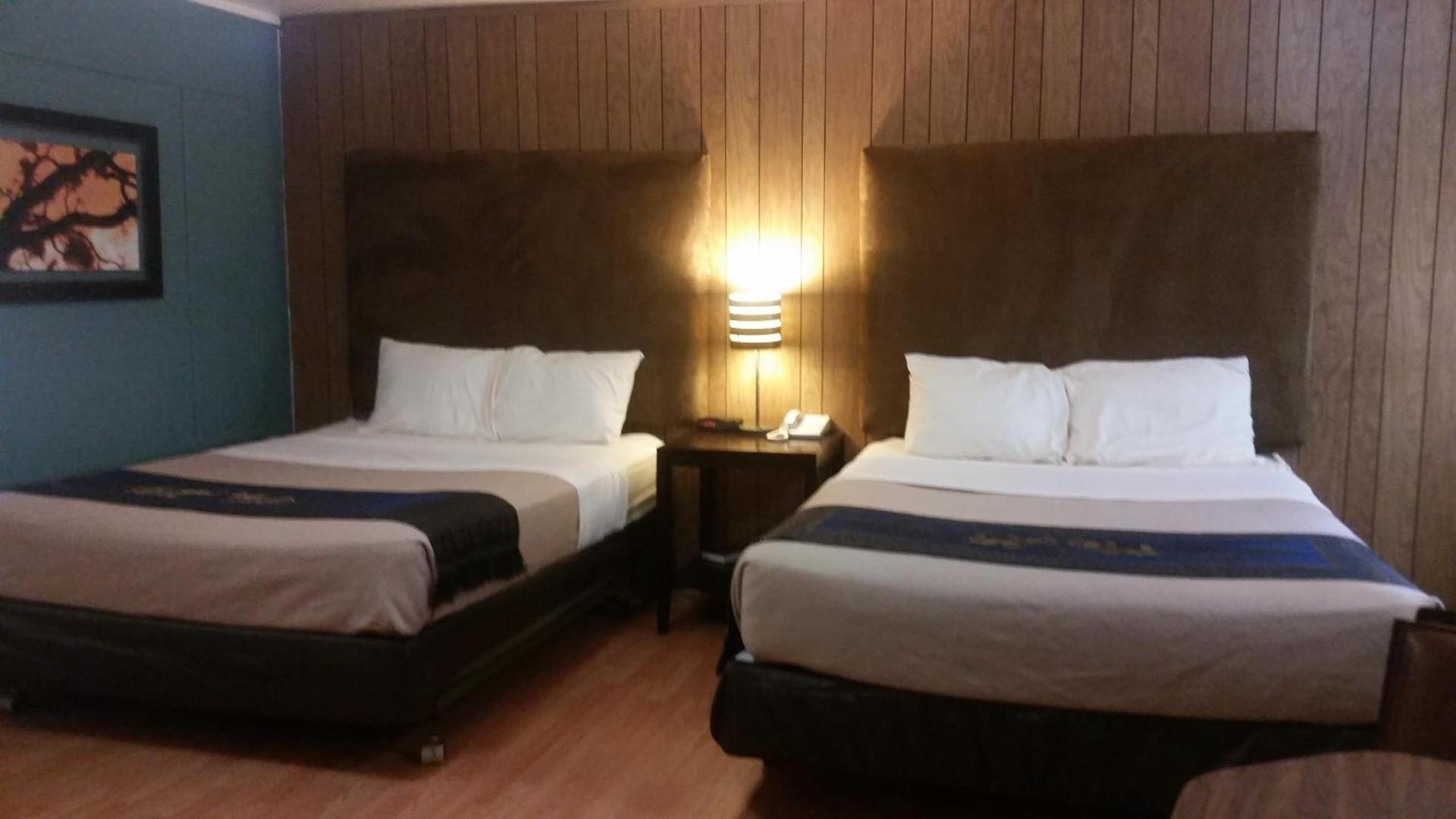 The Gold Lodge photo 10