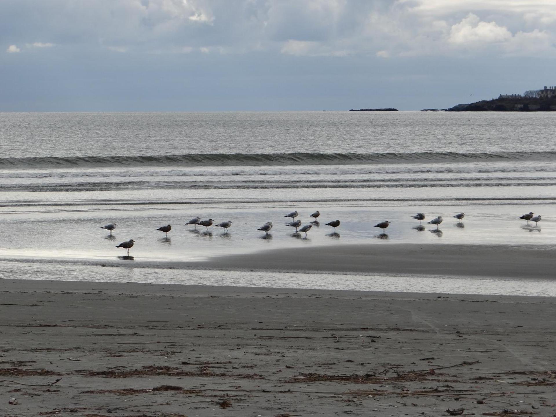 Rhea's Inn by the Sea photo 9