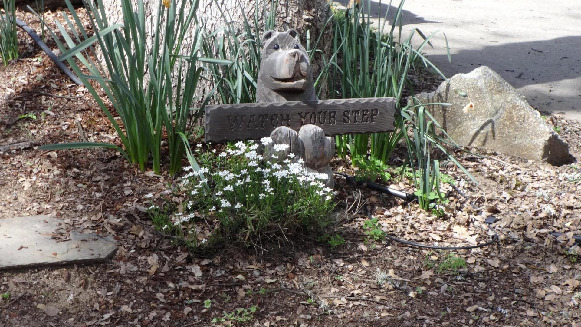 Little Valley Inn photo 10