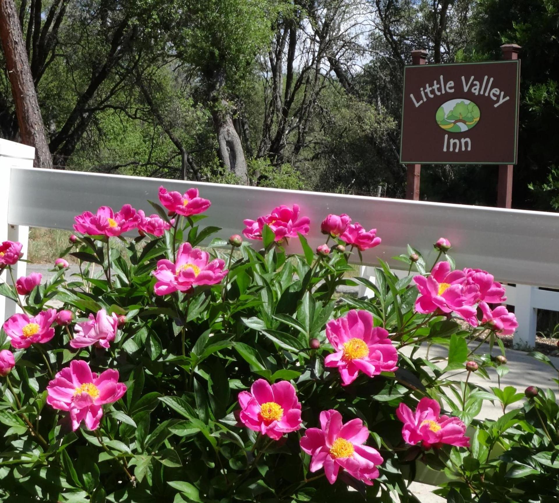 Little Valley Inn photo 11