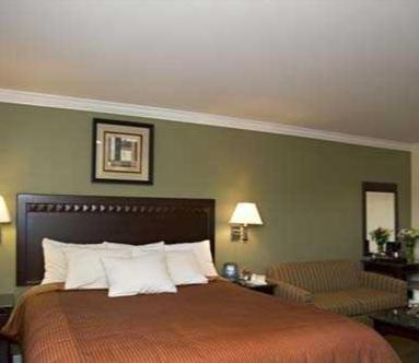 North Bay Inn photo 7