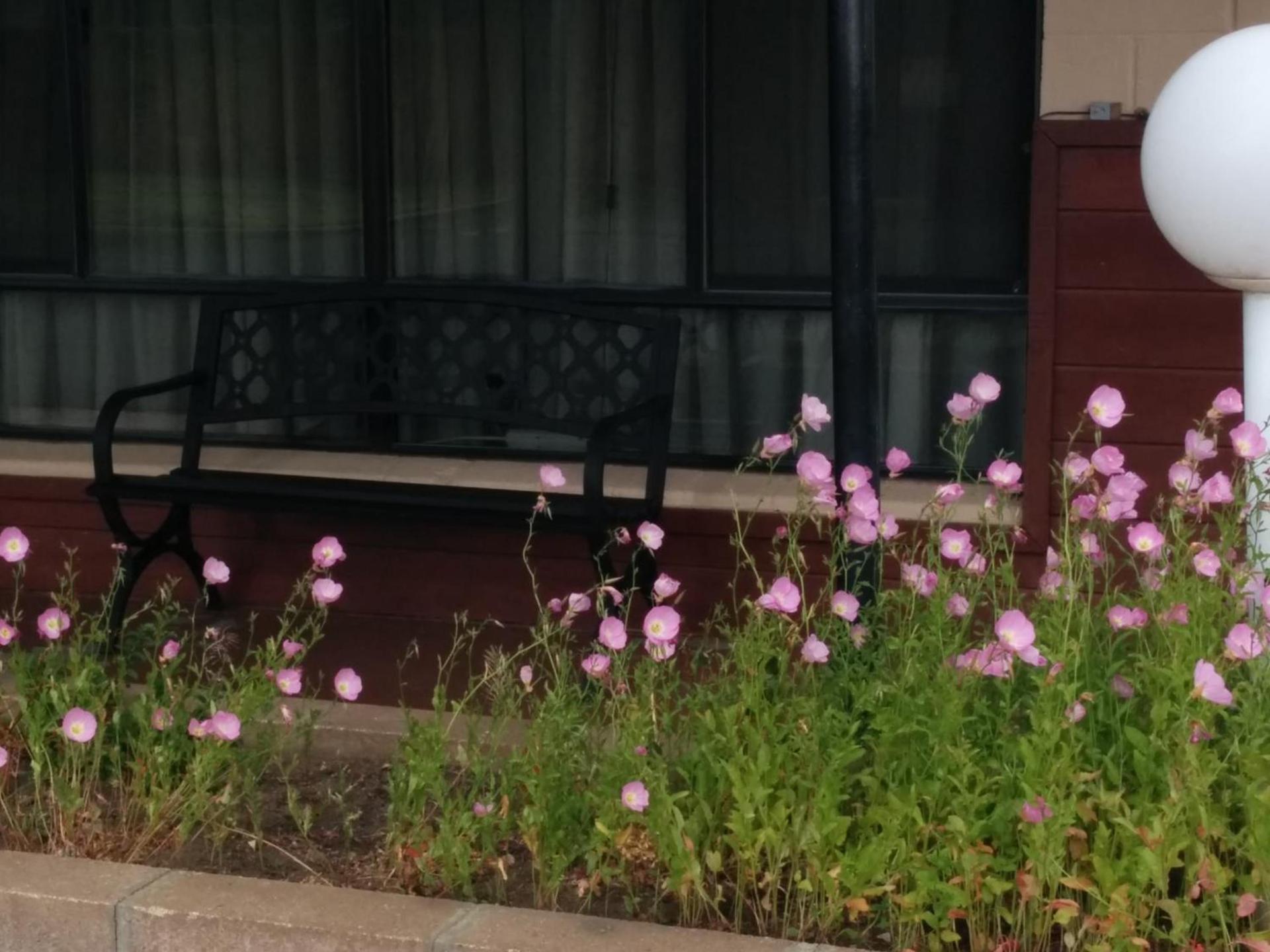 Starlight Motel photo 2