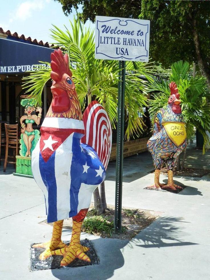 The Art House Little Havana photo 22