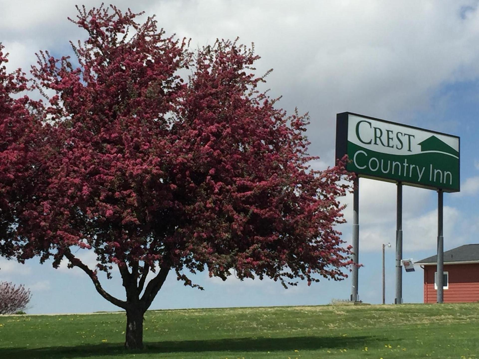 Crest Country Inn photo 8