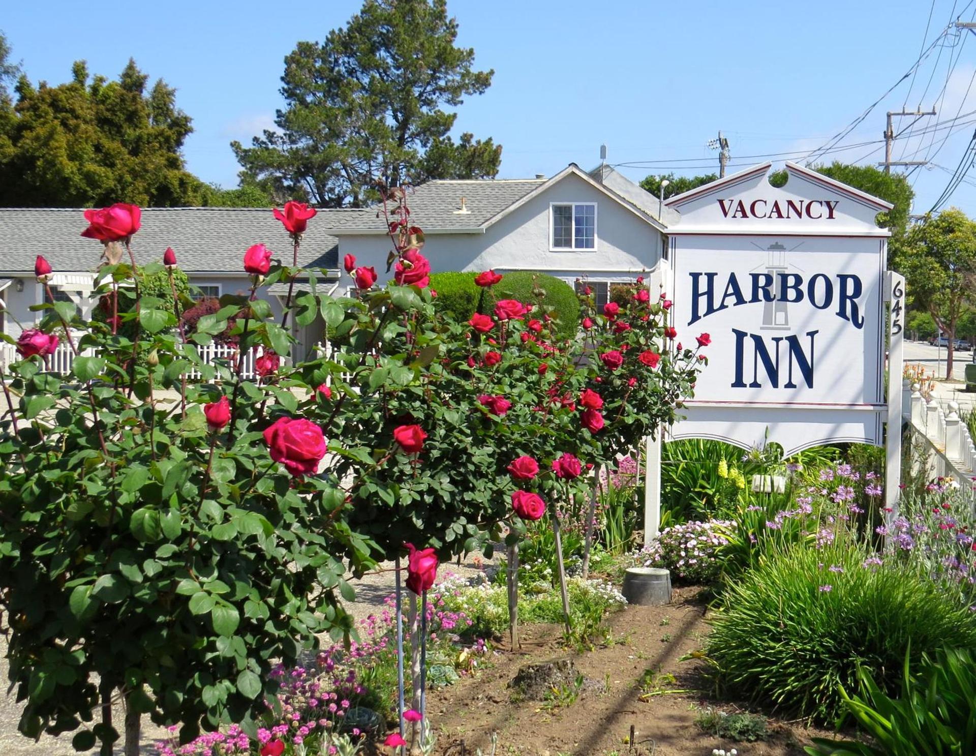 Harbor Inn photo 49