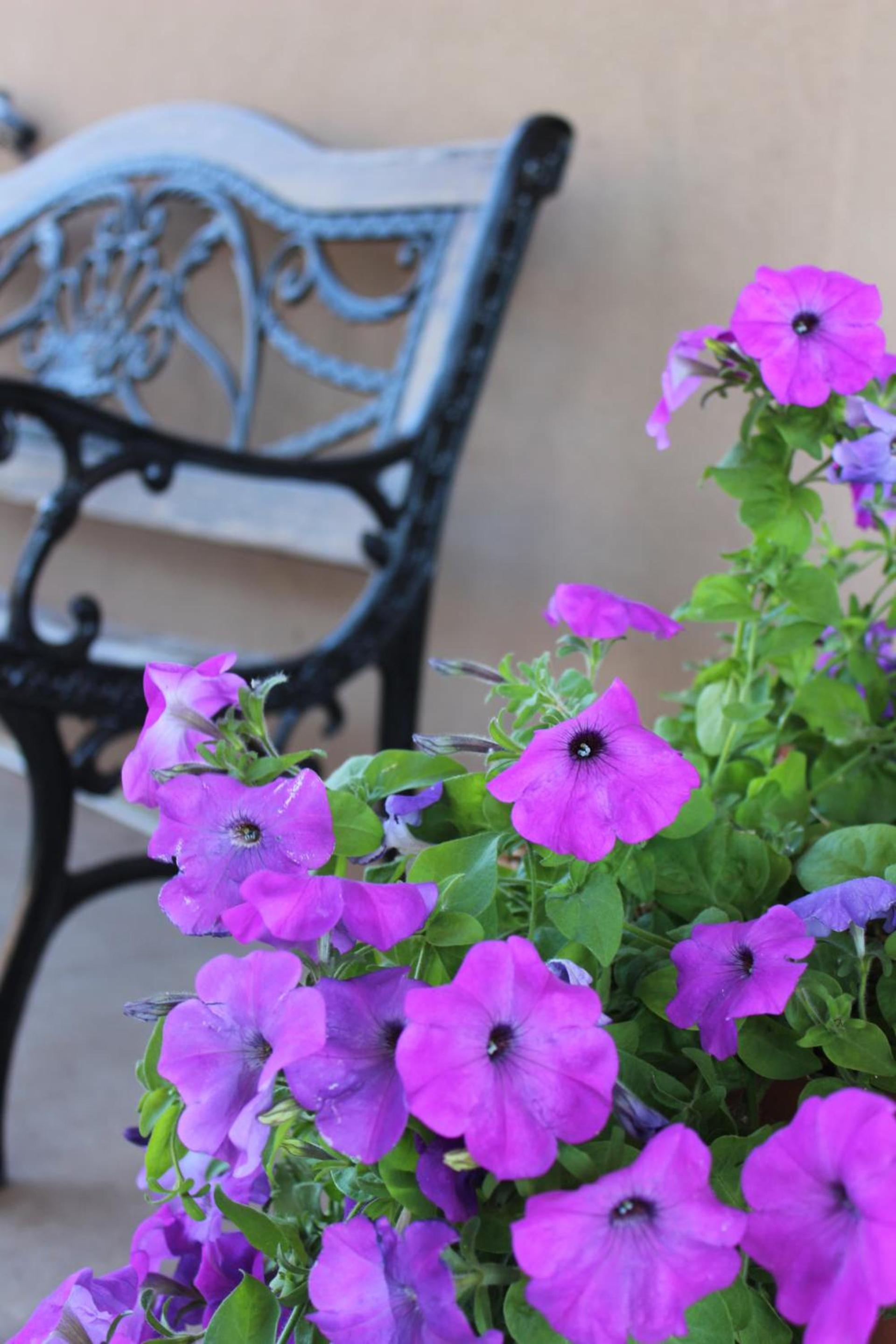 Moab Valley Inn photo 47