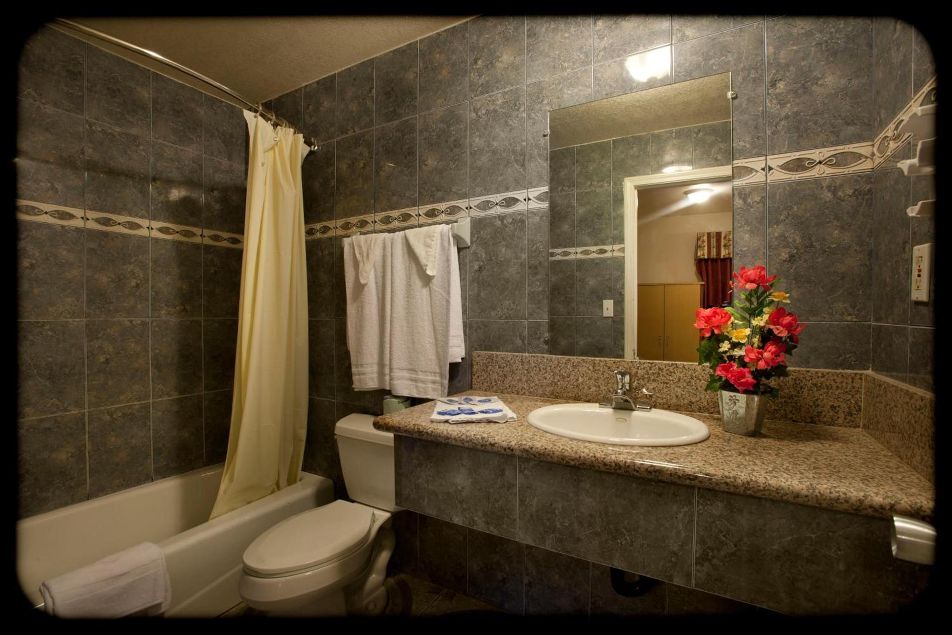 The Palace Inn photo 12