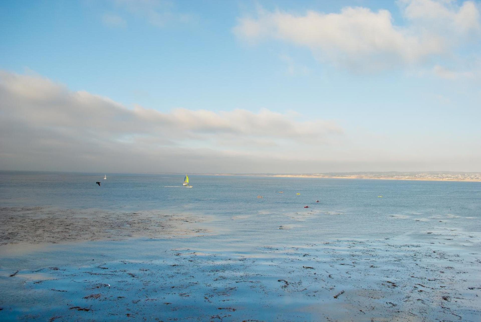 Monterey Bay Inn photo 16