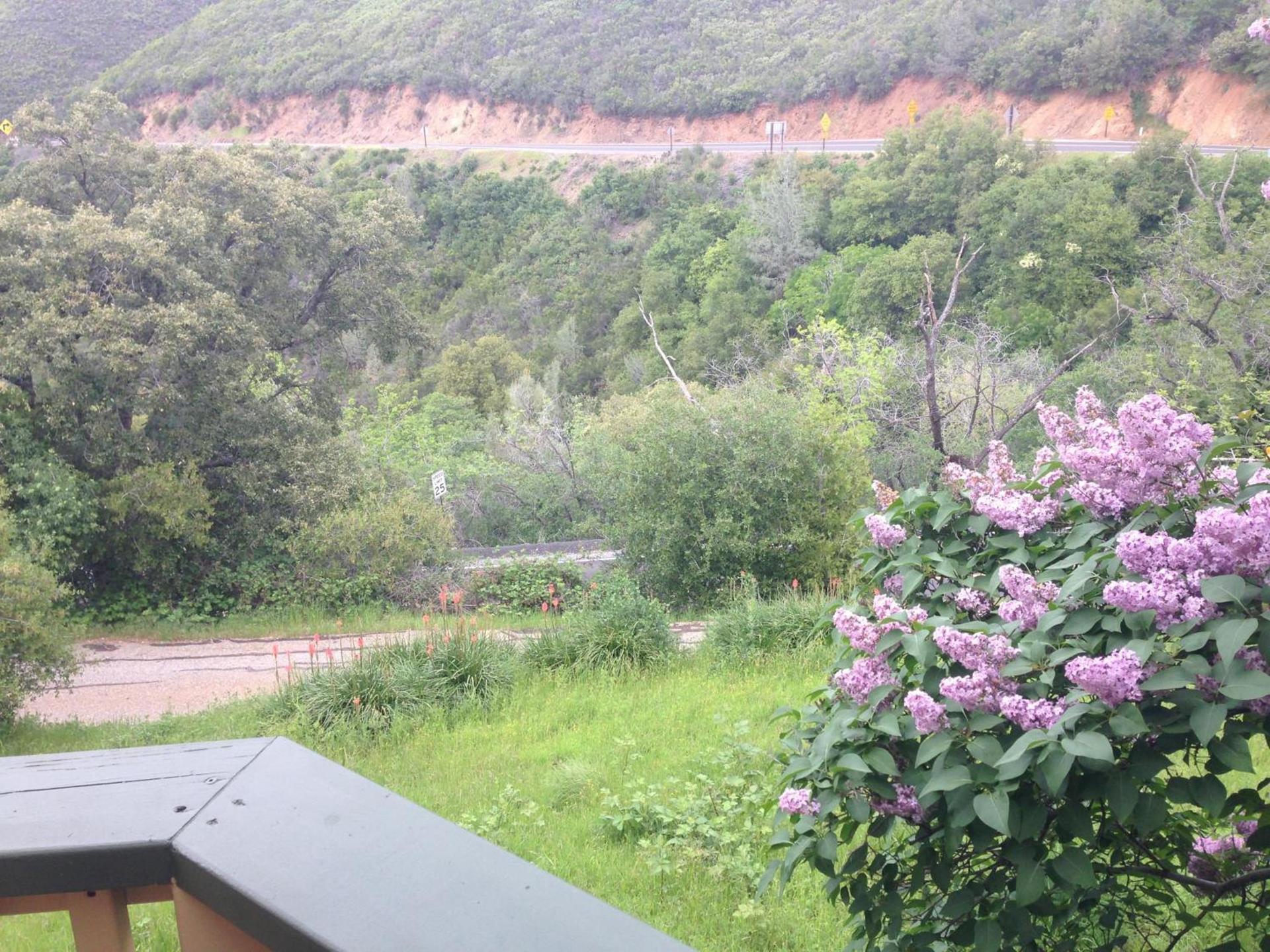 Priest Station Cafe & Cabins photo 5