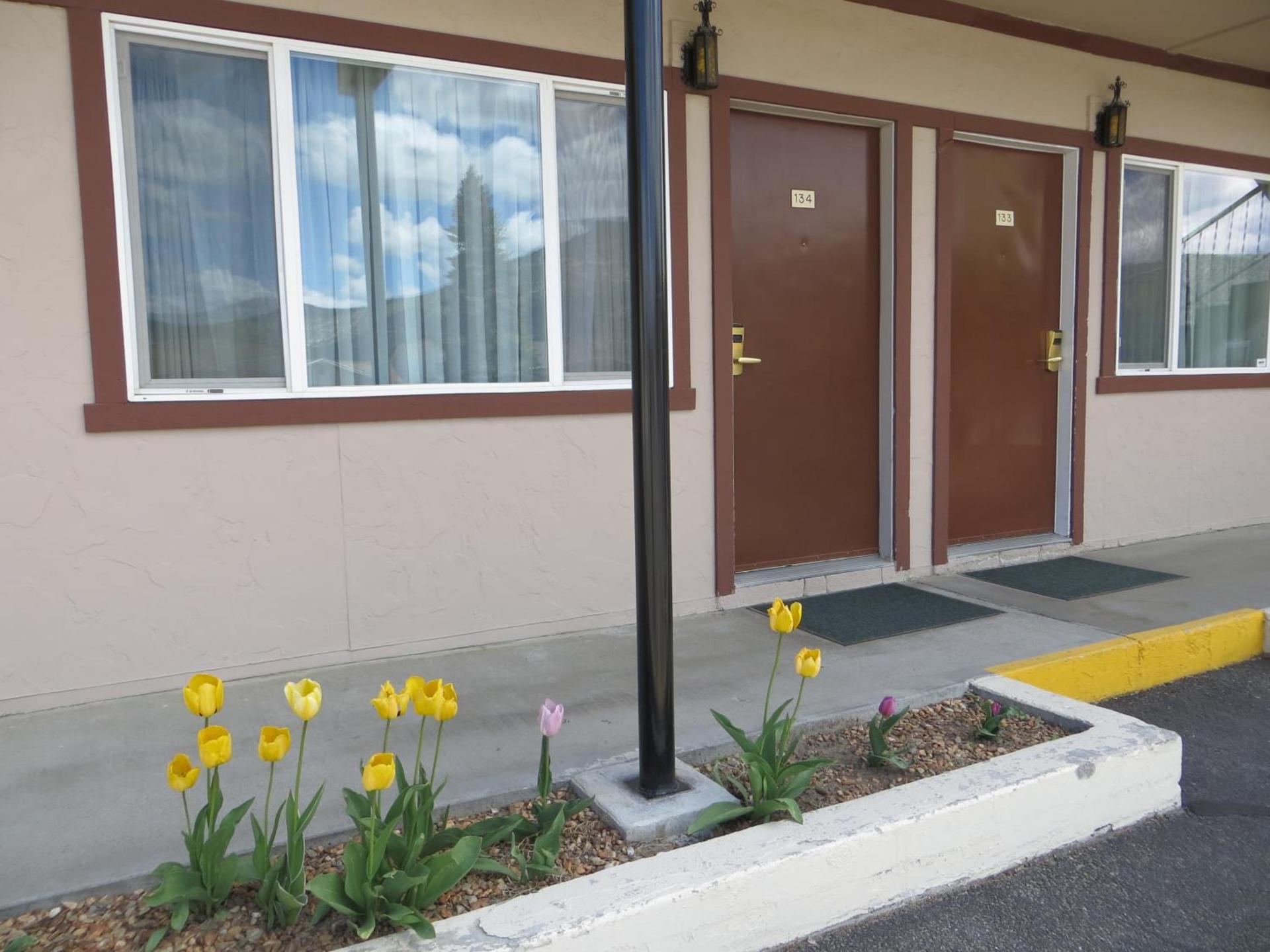 Bristlecone Motel photo 16