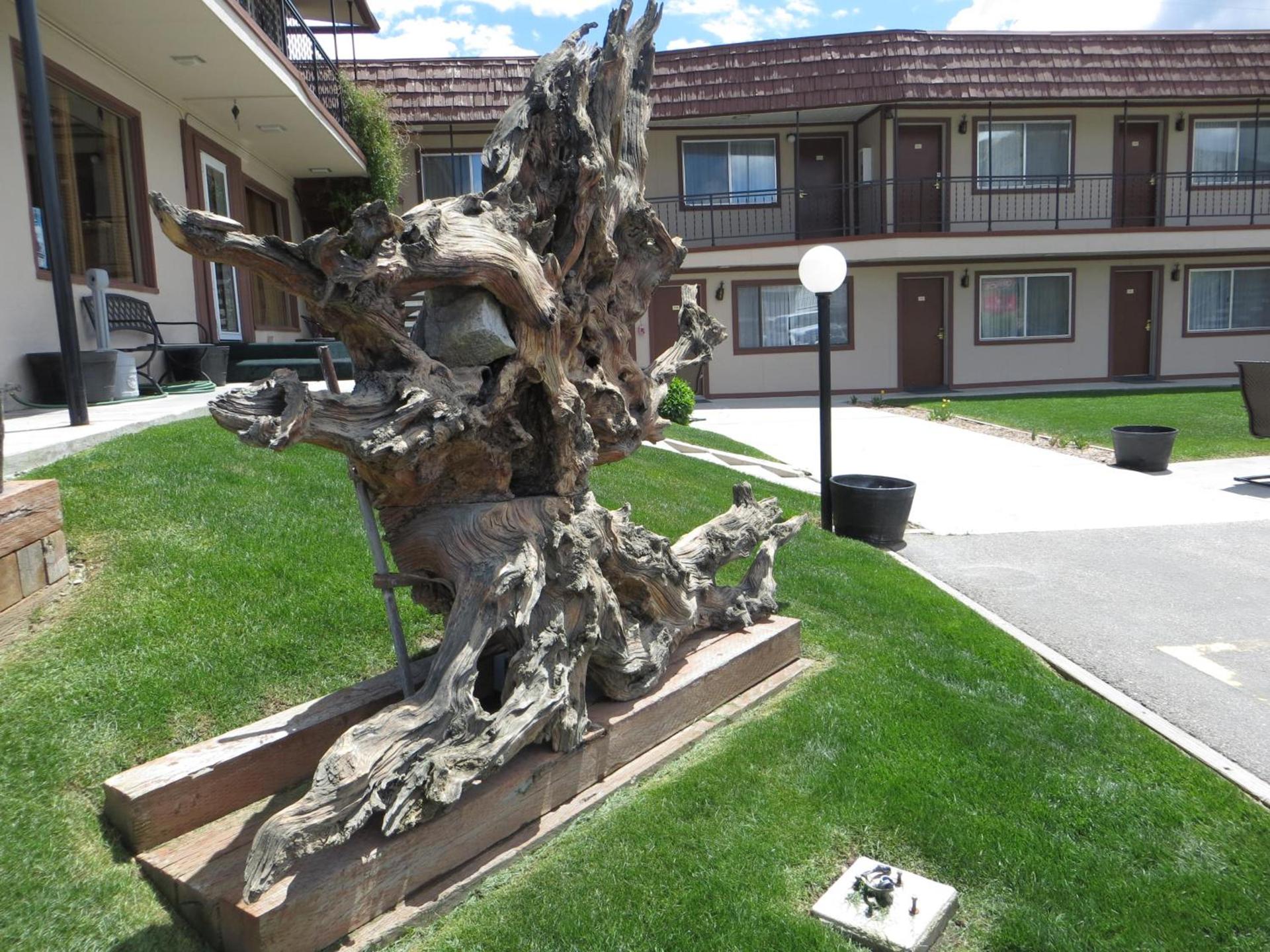 Bristlecone Motel photo 7